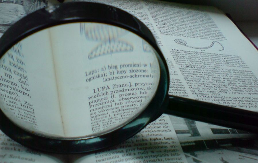 Magnifyingglass