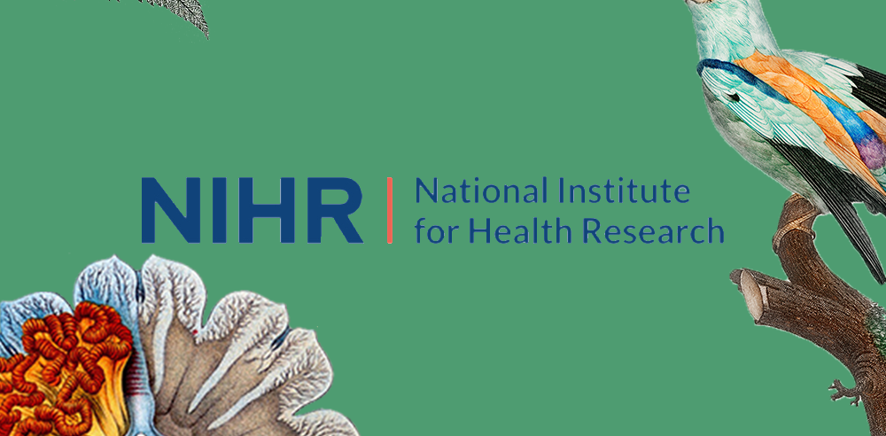 National Institute of Health Research logo