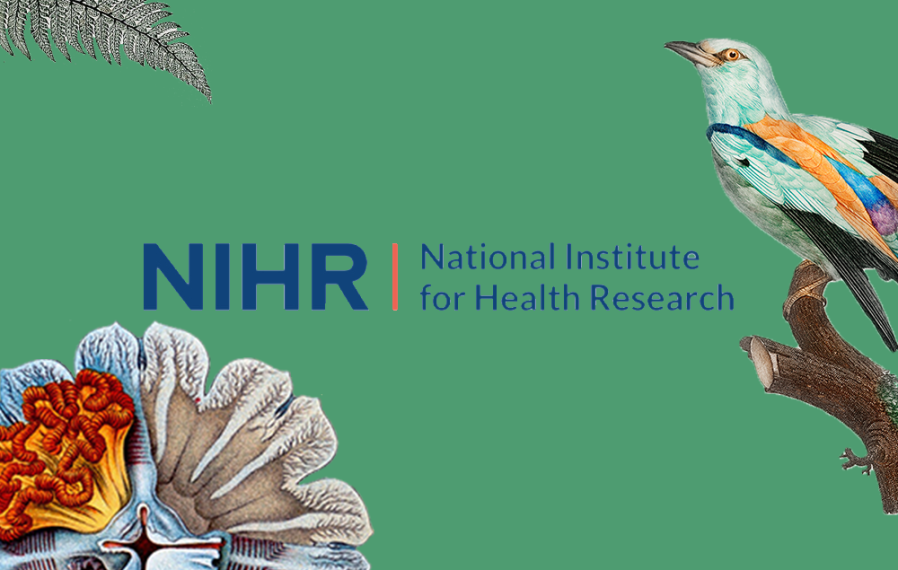 National Institute of Health Research logo