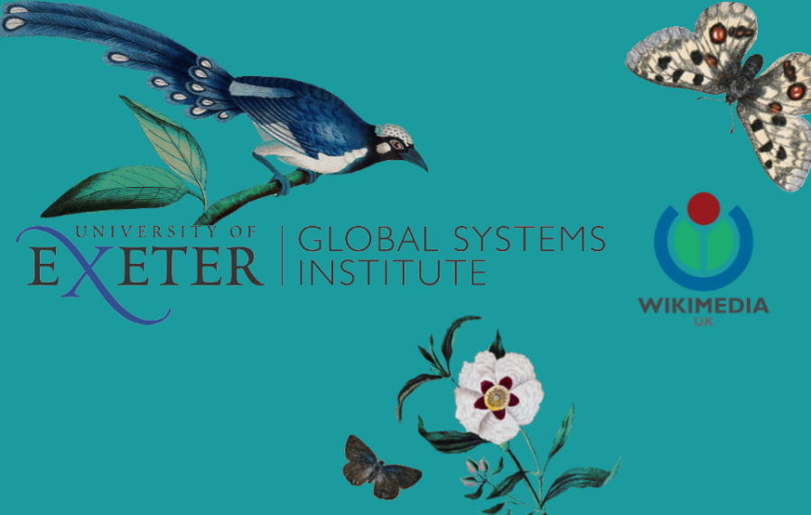 Logos of uni of Exeter, GSI and Wikimedia UK surrounded by birds, flowers and butterflies