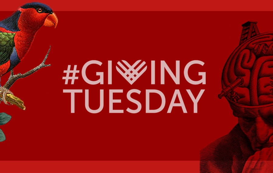 Giving Tuesday logo banner
