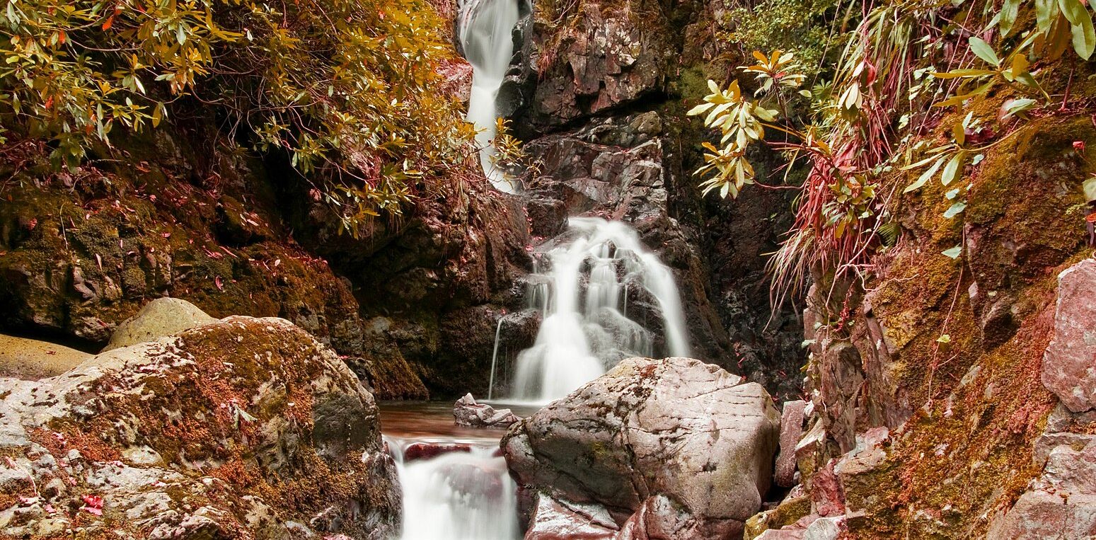 Photograph of a waterfall and autumn trees in Tollymore Forest Park.