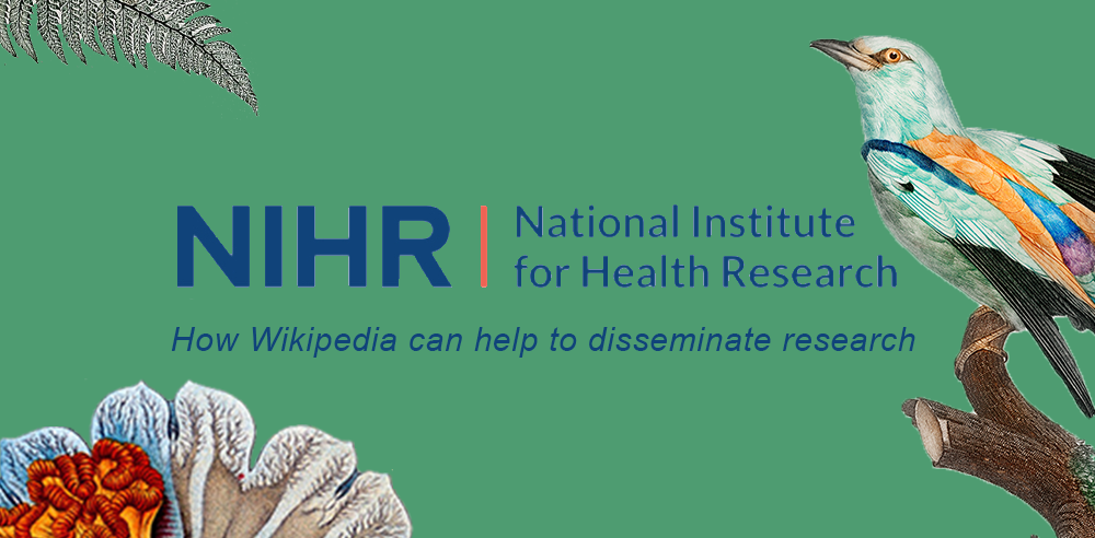 NIHR logo on a green background with the title of the blog beneath it.