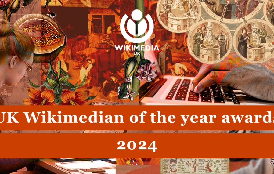 Collage of red toned images from Wikimedia Commons with white text overlaid reading: 'UK Wikimedian of the year 2024'