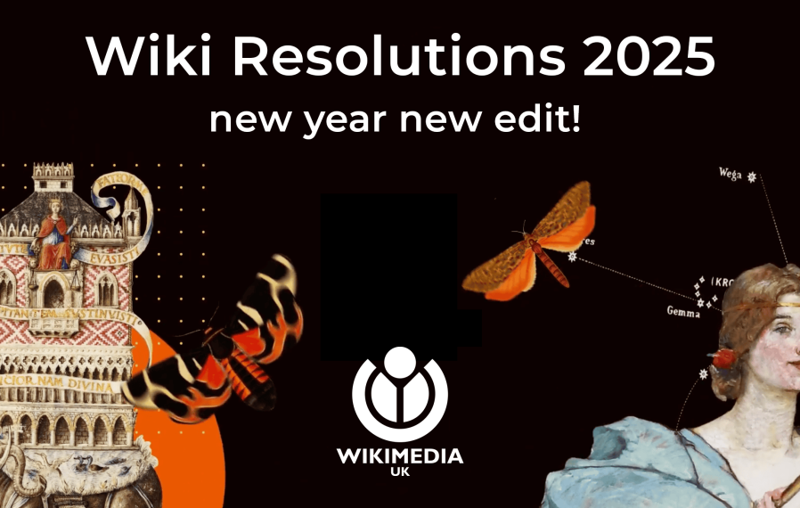 Black banner with white text reading: Wiki Resolutions 2025, new year new edit! Accompanied by images from Wikimedia Commons of butterflies, an illustration of an elephant and a painting of a woman.