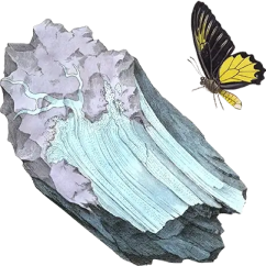Vintage illustration of a mineral crystal with a yellow and black butterfly