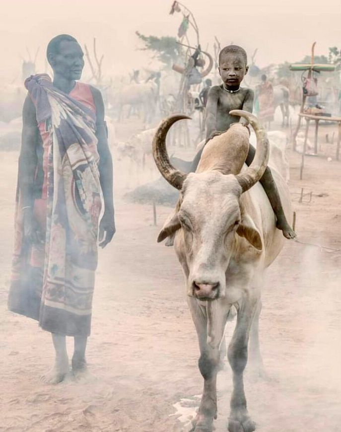 A child rides a long-horned cow beside a woman in a smoky cattle camp.