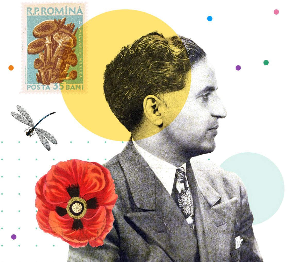 Archive portrait of a man in profile, in a collage with a poppy, a dragonfly and a vintage Romanian stamp.