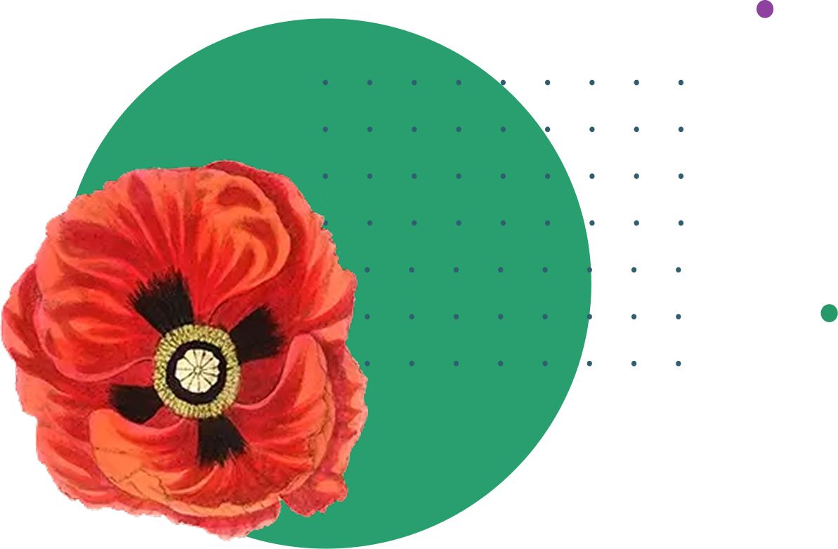 A poppy