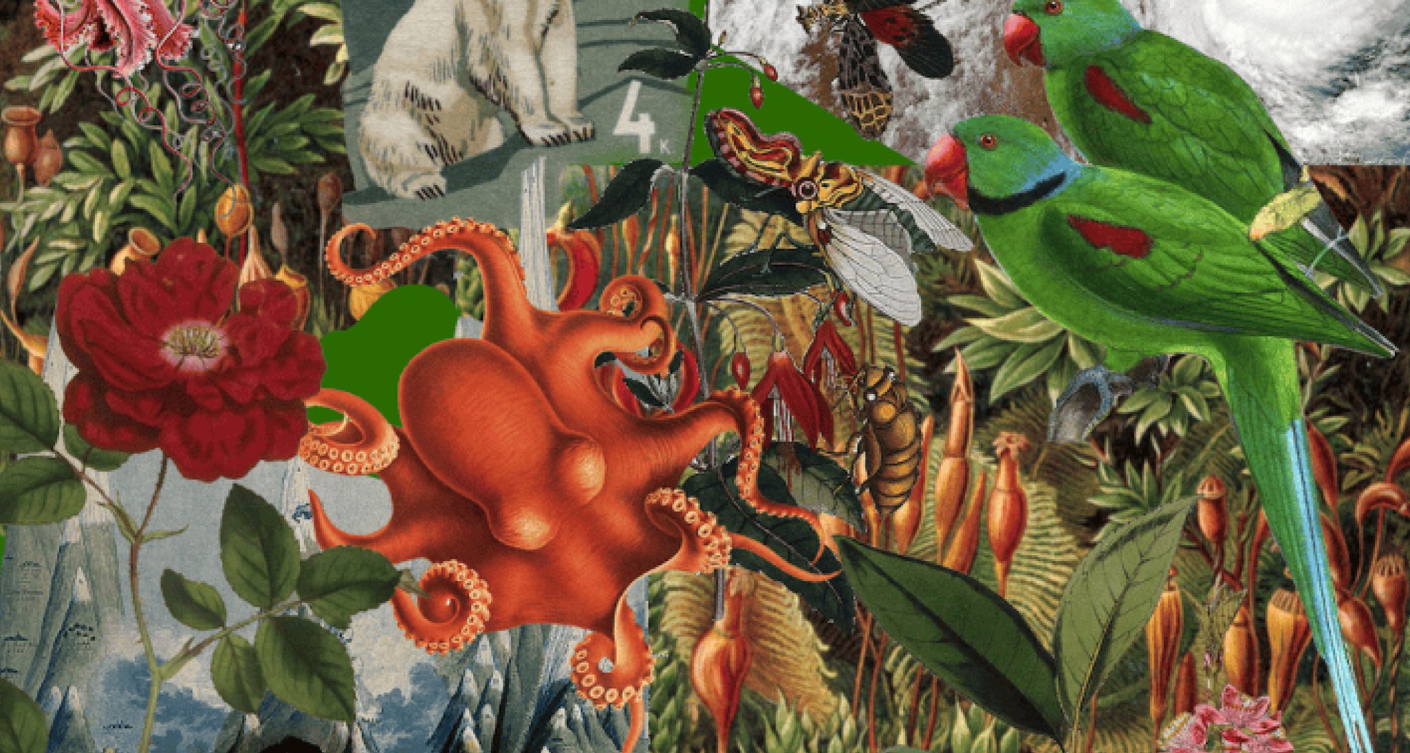 Collage with various animals and plants