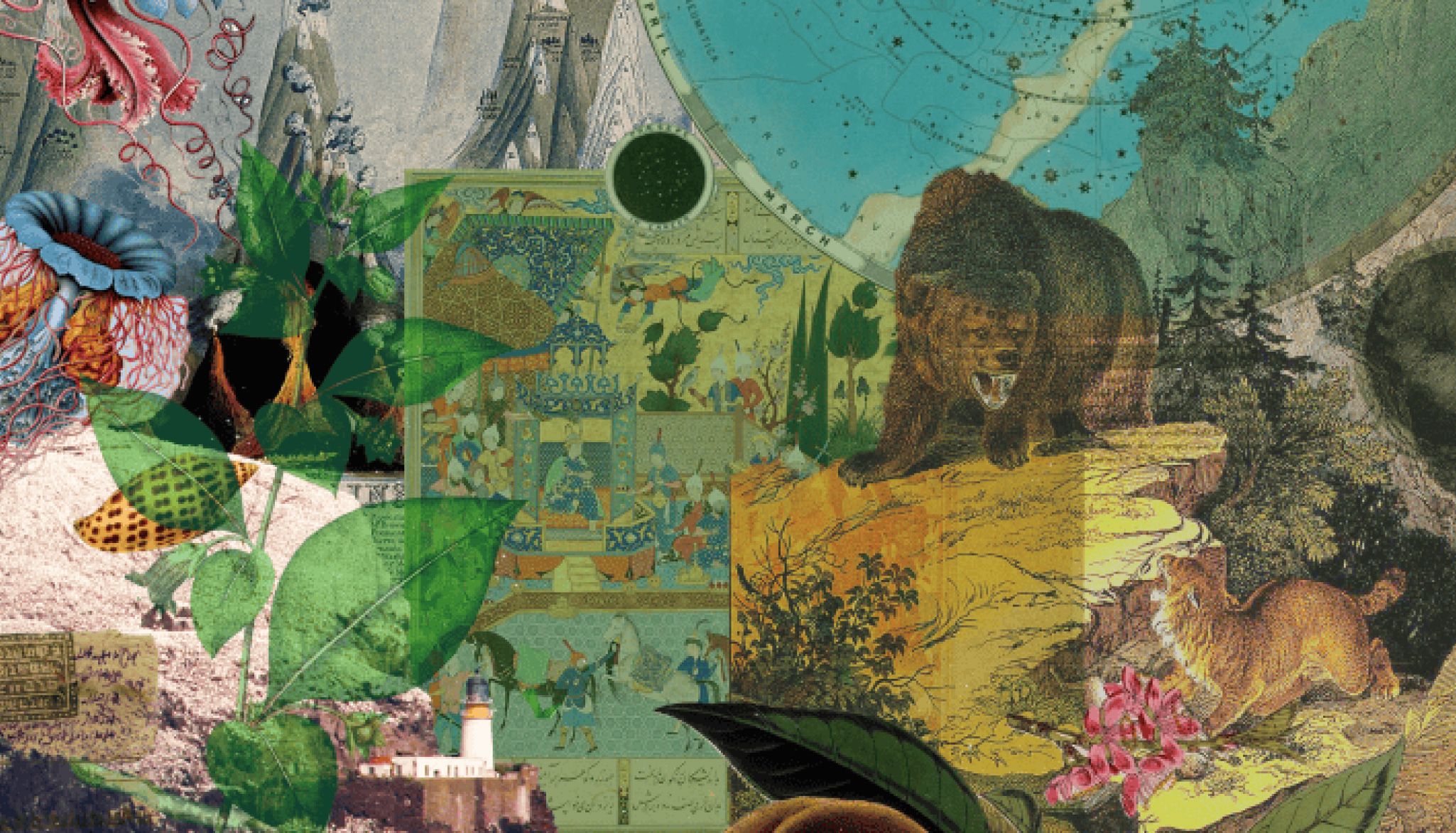 A collage of various patterns, animals and plants