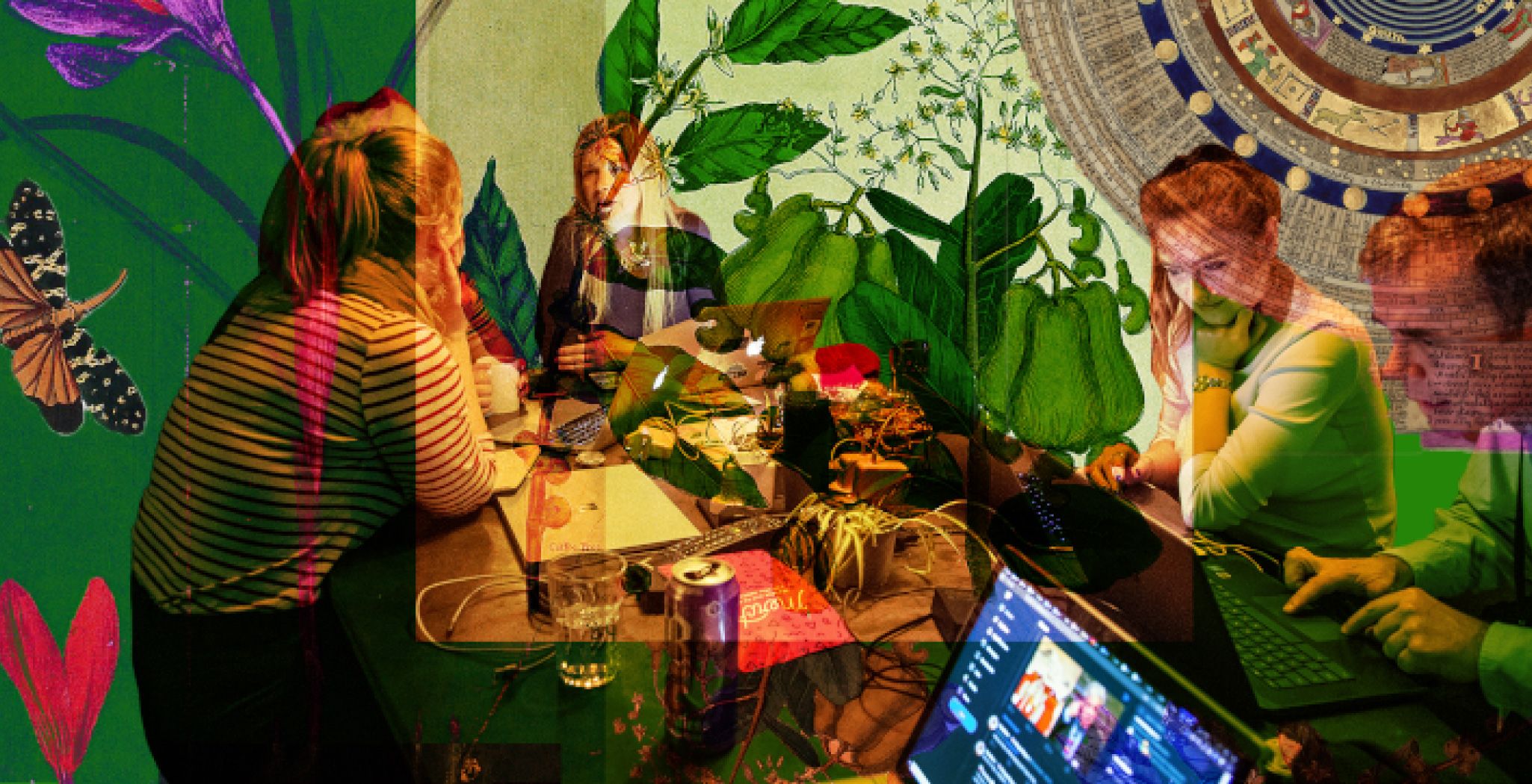 People editing on laptops around a table, in a collage with botanical illustrations.