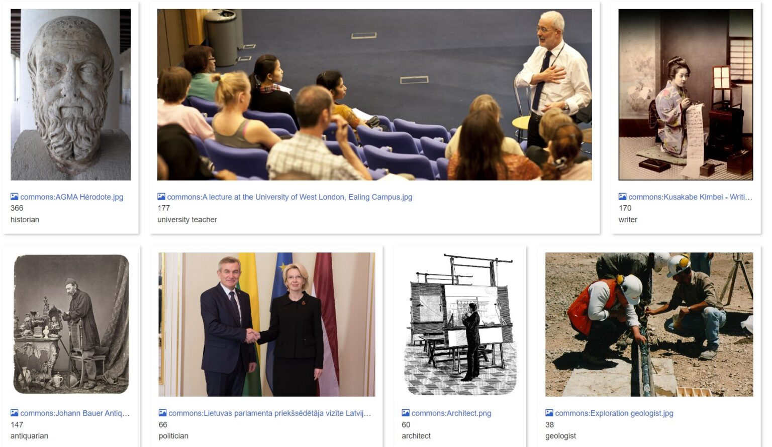 A screenshot of the results from the linked query as of 24 November 2022. Only occupations with a photograph linked appear in the above montage, in the full query there are more occupations listed.